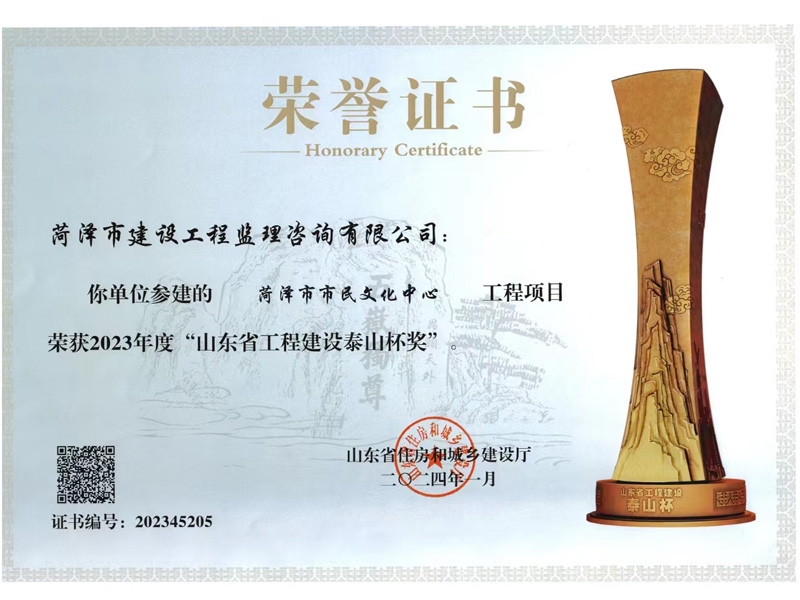 山東省工程建設(shè)泰山杯獎